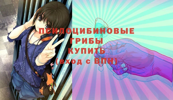 apvp Покачи