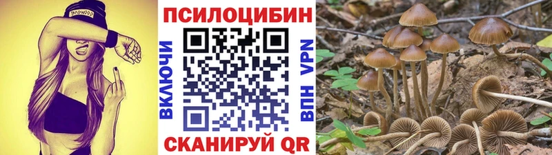 Псилоцибиновые грибы Magic Shrooms  Благовещенск 