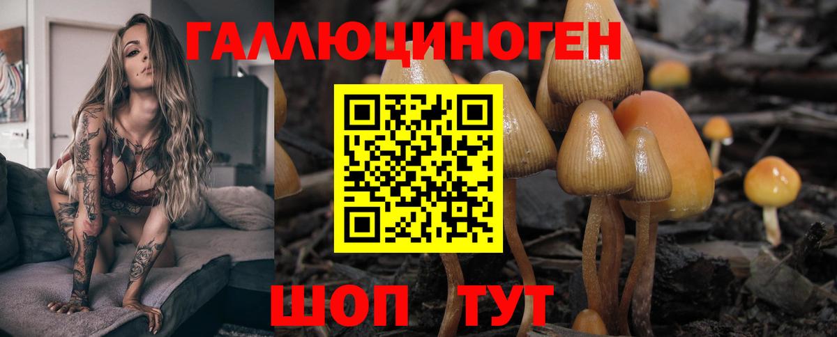 Псилоцибиновые грибы ЛСД  Псилоцибиновые грибы MAGIC MUSHROOMS  Вход с VPN  Благовещенск 